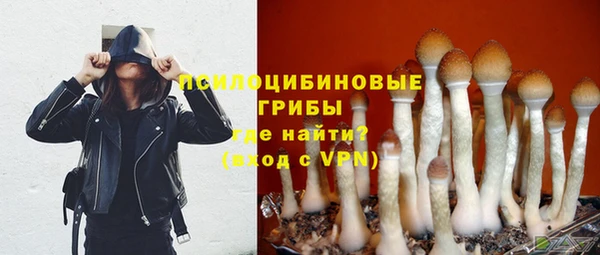 дурь Алексин