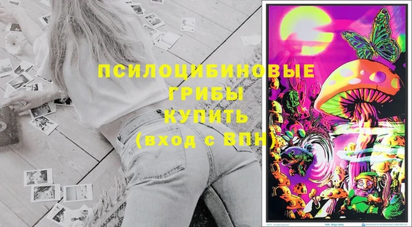 трава Алзамай